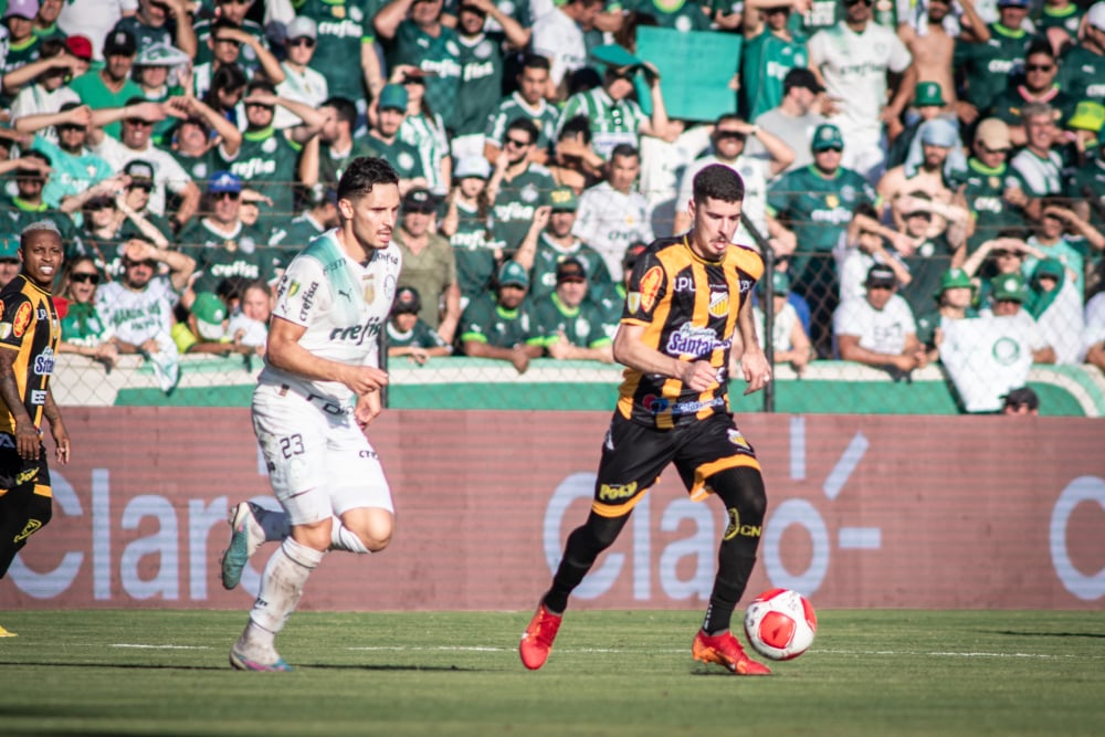 Palmeiras na Semifinal do Paulistão 